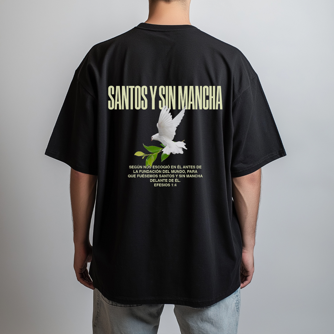 Playera  Efesios 1:4