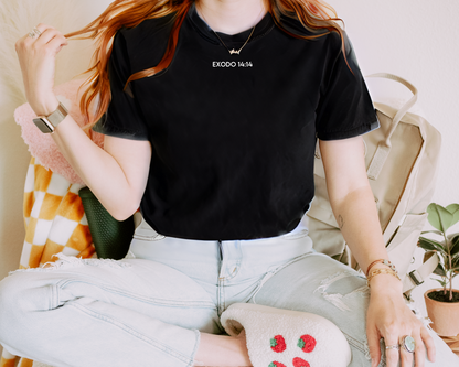 Playera Exodo 14